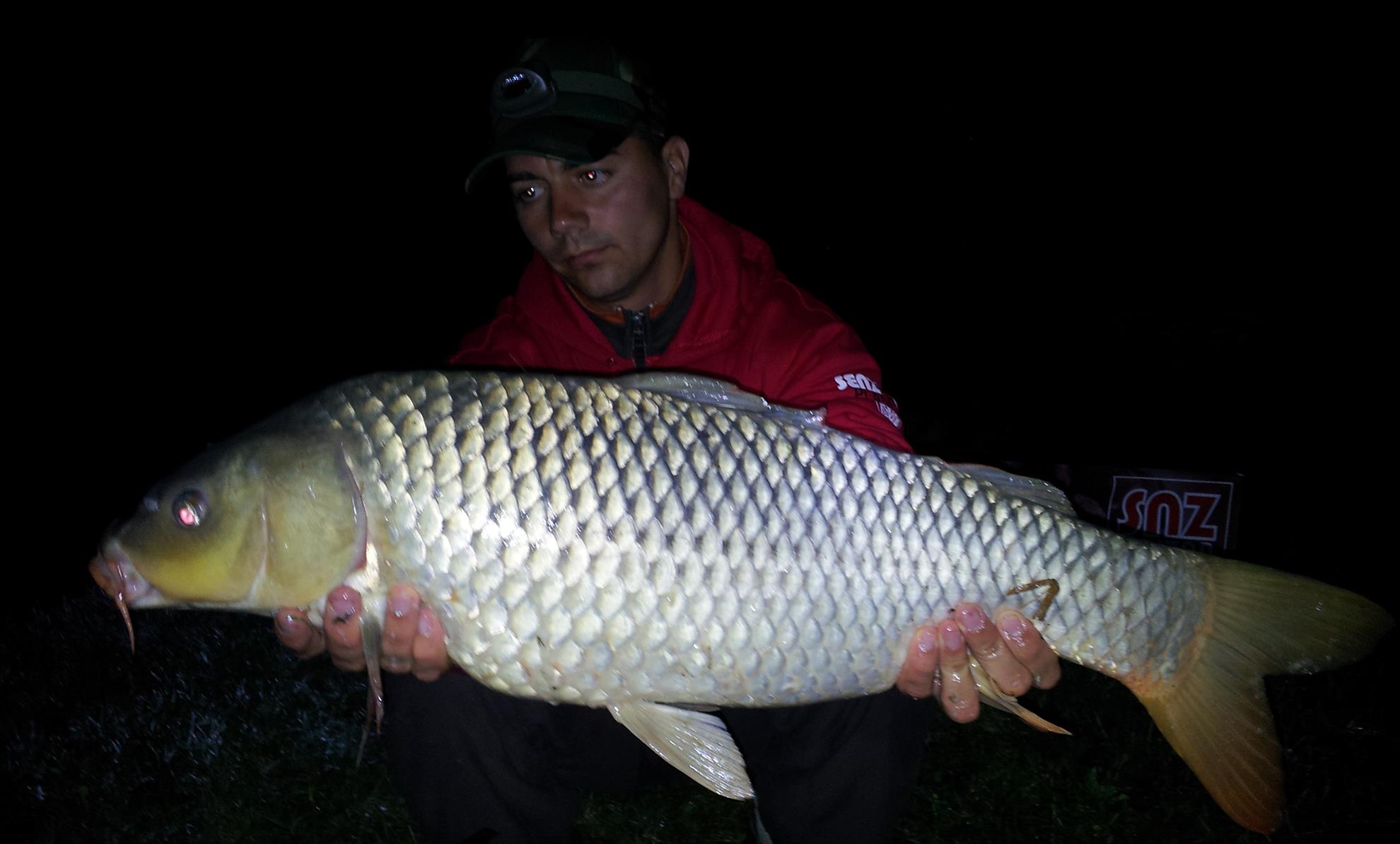 Silver  Ungaria 17 - 18 iul. - 20130718015401.jpg